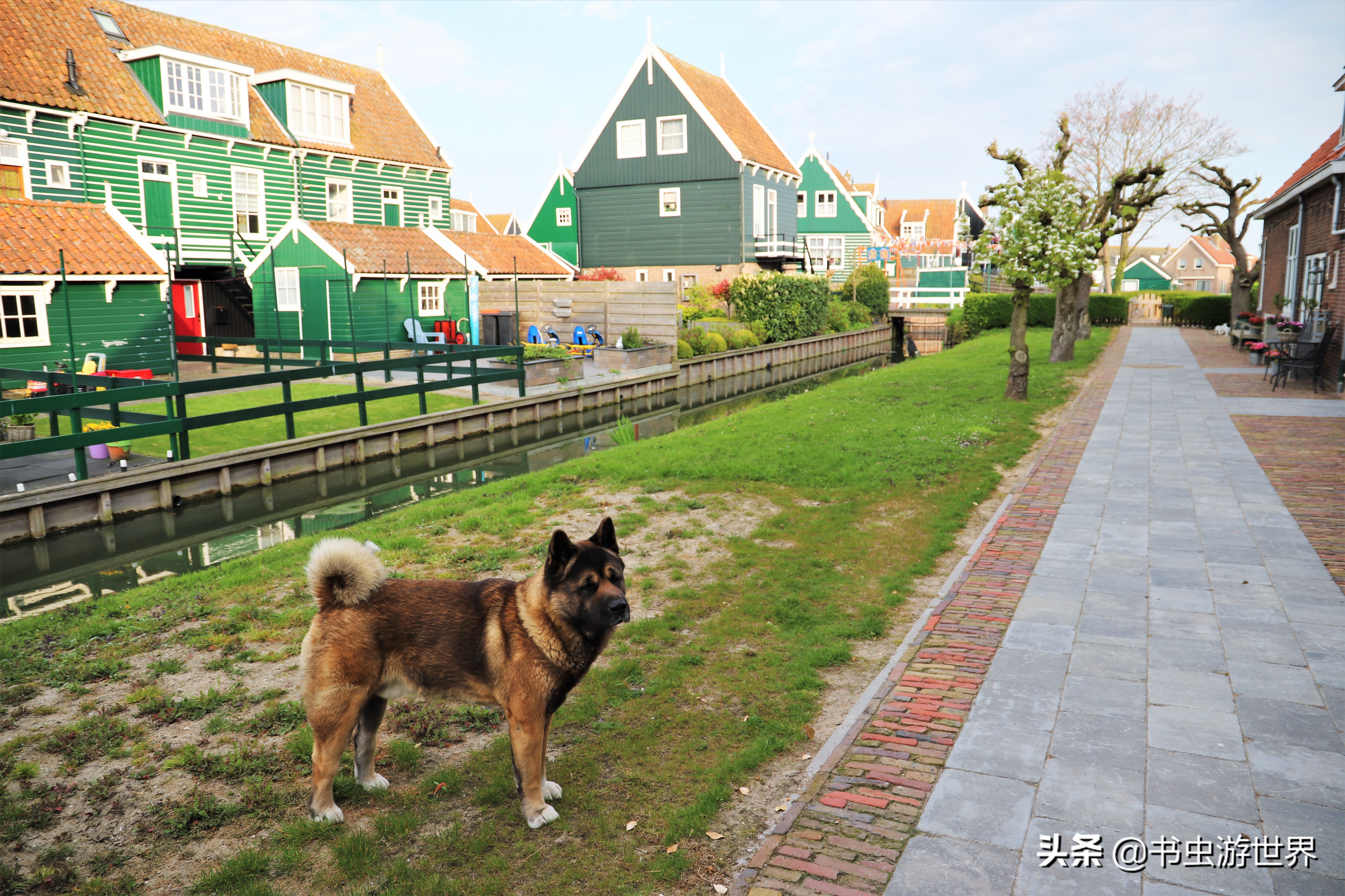 红顶小木屋,红顶绿墙小木屋