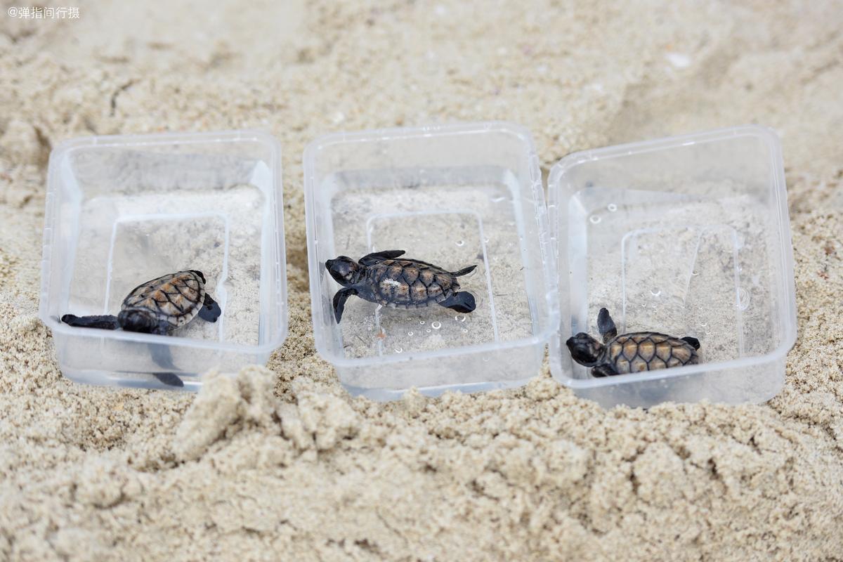 快速提高头条号推荐量,头条推荐量为什么不能超过百万