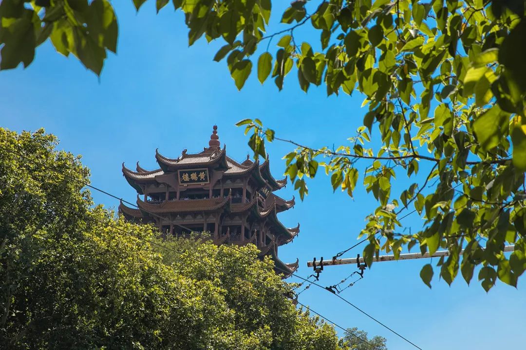 武汉为什么这么多人都值得去,武汉人为什么要去旅游呢