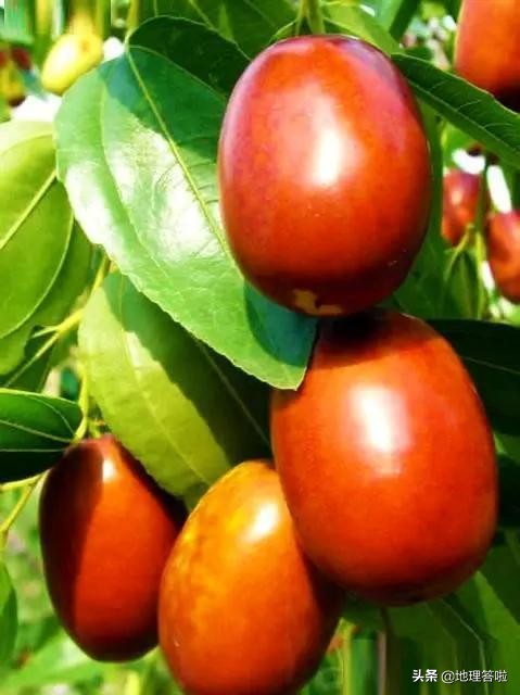 南疆印象系列文章十一:一弹横空出世地——若羌是怎样一个地方?