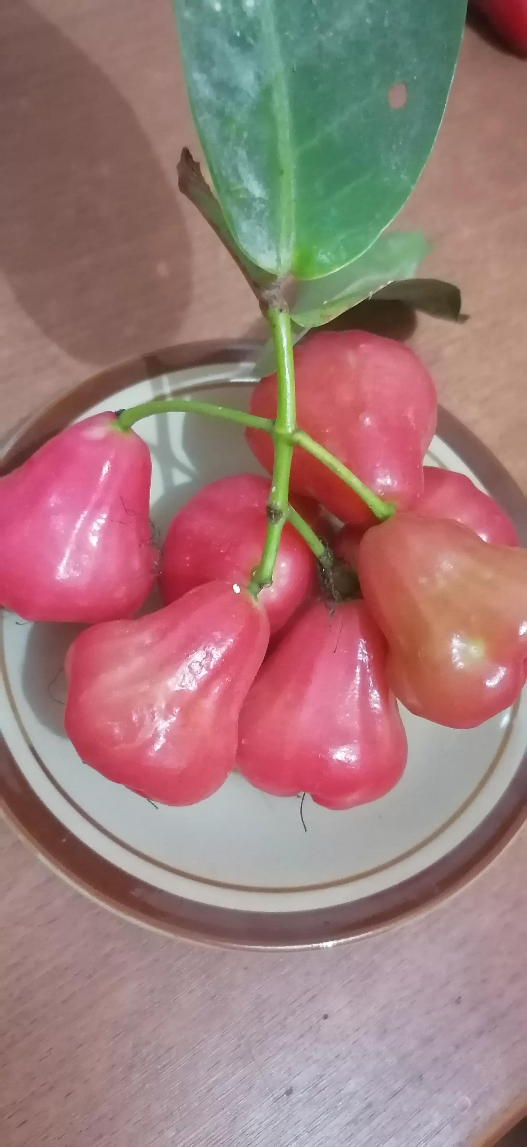 印度尼西亚本地水果比较好吃,印度尼西亚水果