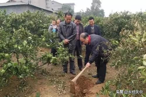 苹果套完袋要立即浇水吗,苹果套纸袋摘袋以后还能用吗