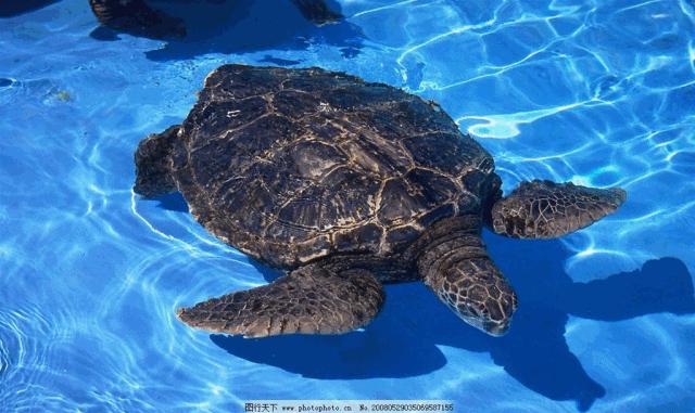 泉城欧乐堡海洋极地世界4点入园,全家游青岛极地海洋世界费用