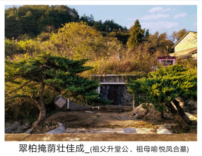 追忆我的祖父图片,追忆我的祖父