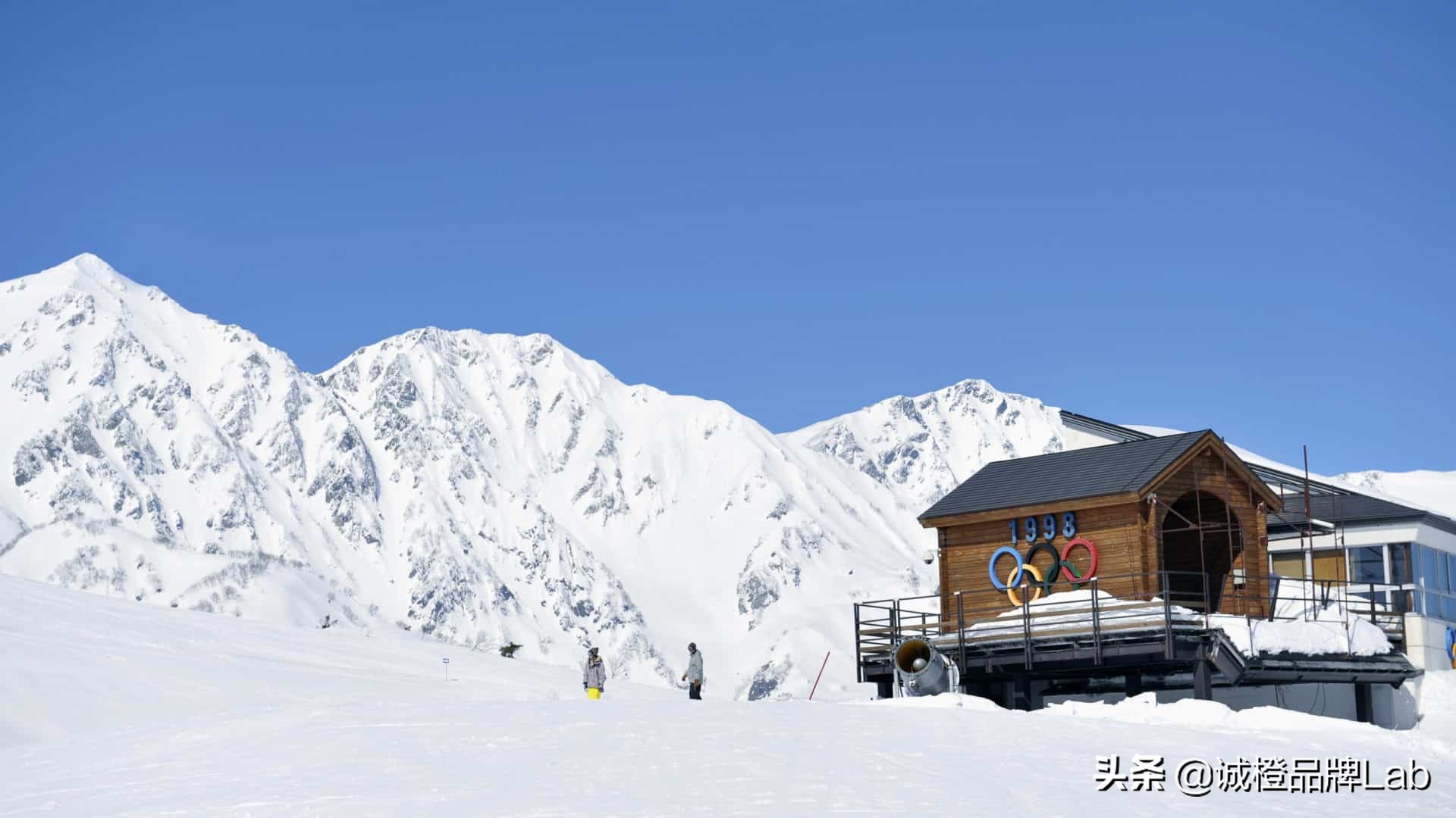 乡村内生活力,乡村发展的活力表现在诸多方面