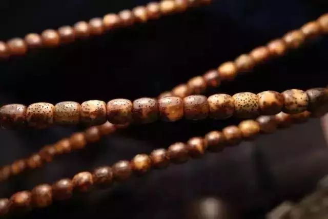 值得盘玩的几种星月,星月各种品种玩出来的区别