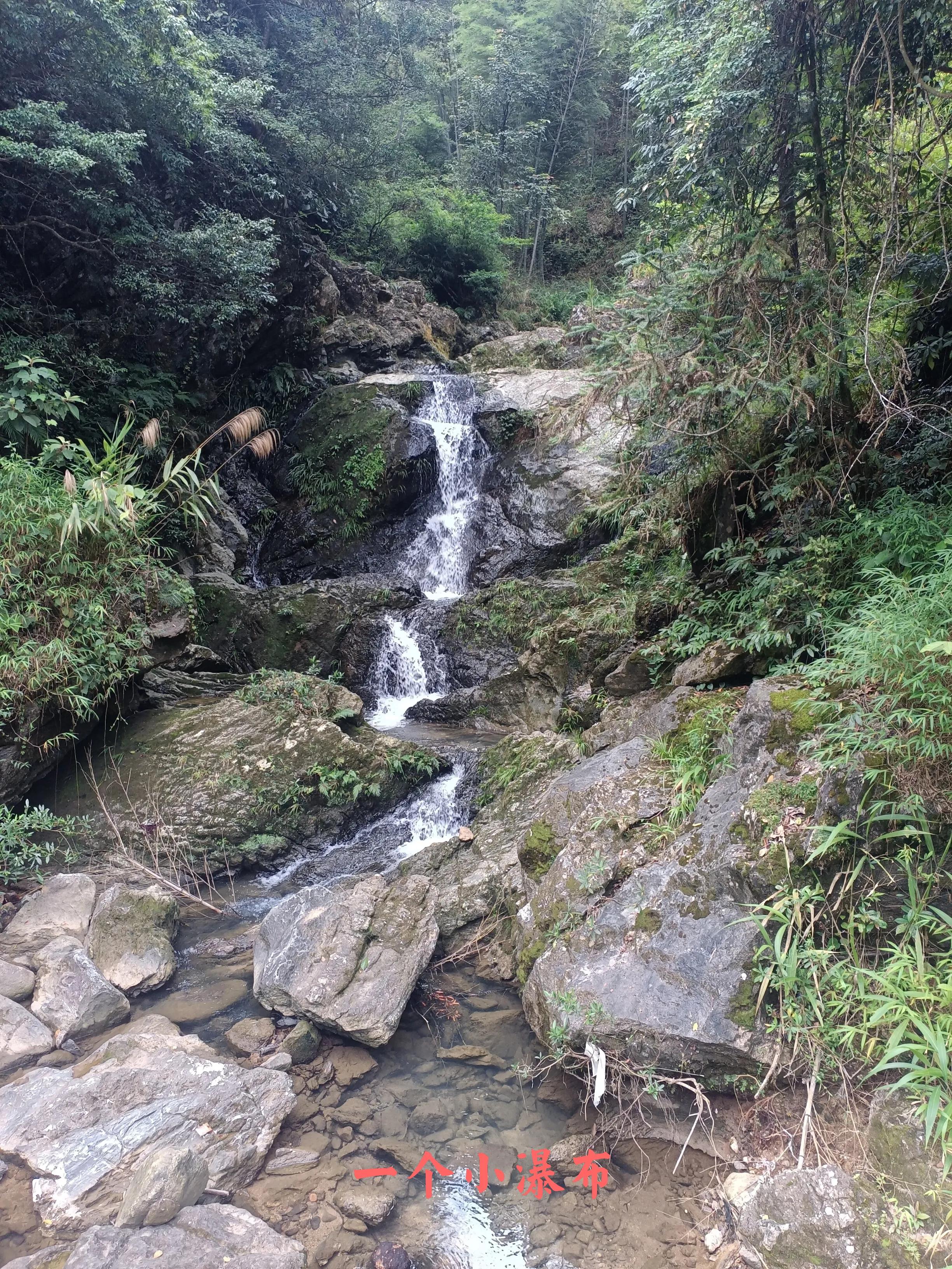 乘公交去乡下:广州海拔最高的村落-阿婆六村