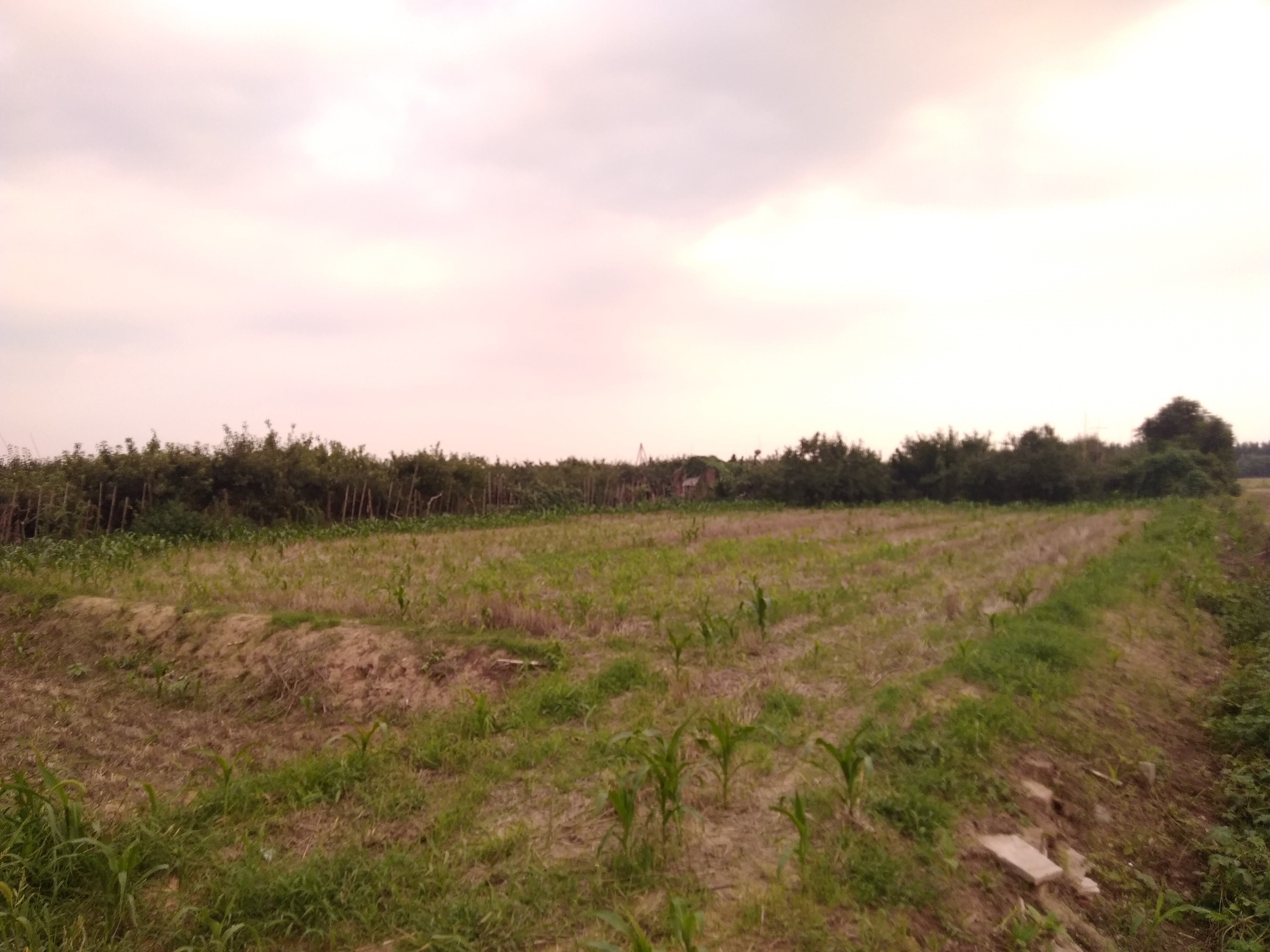 财不进急门福不入偏门的道理,老人说的财不外露是有道理的