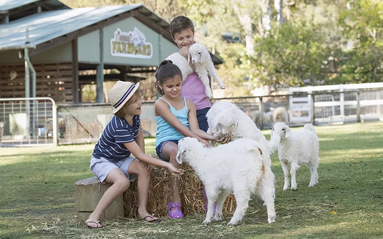 澳大利亚值得孩子去的旅游,春节去澳大利亚旅游