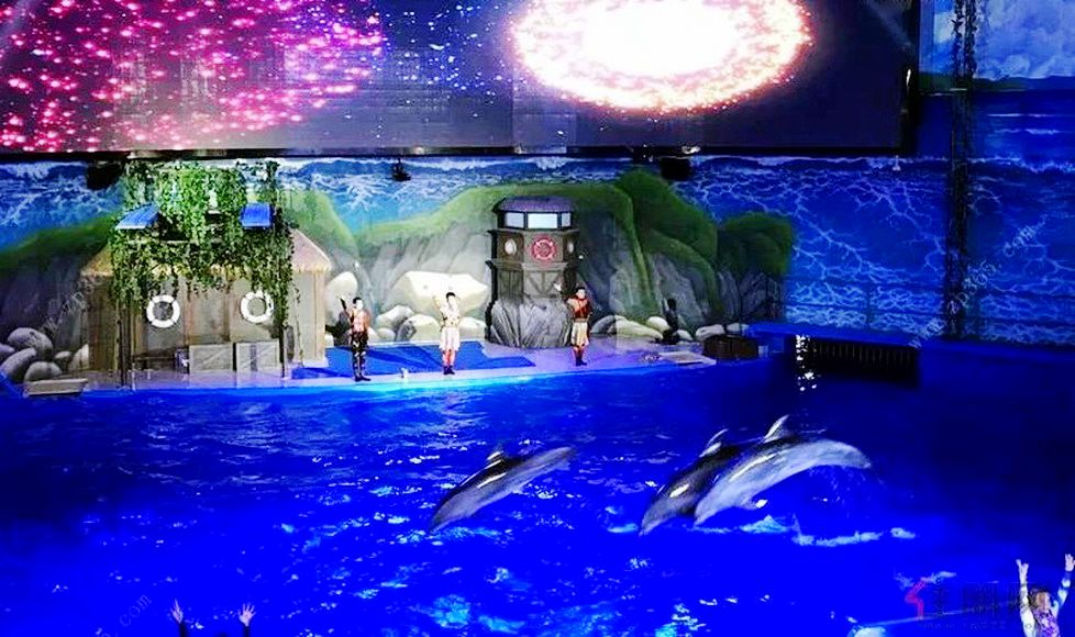 与爱同行发现之旅携南宁儿童康复中心“星星”快乐游