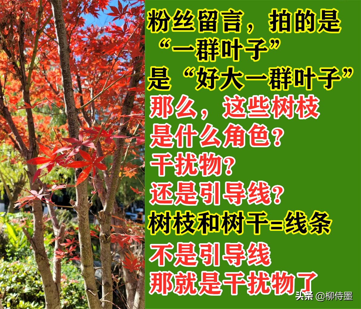 摄影新手如何拍摄照片教程,新手学习摄影入门第一步