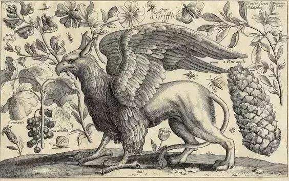 从宫廷走进民间，由图腾转向瑞兽——“舶来狮”的归化之路