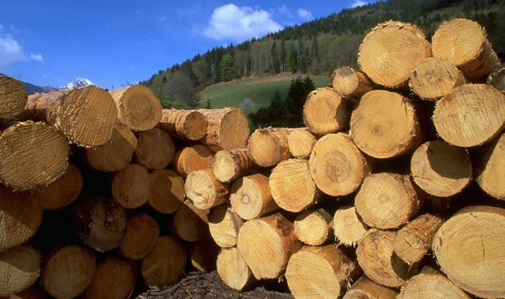 为什么买家具要选好,为什么买的实木家具会掉漆