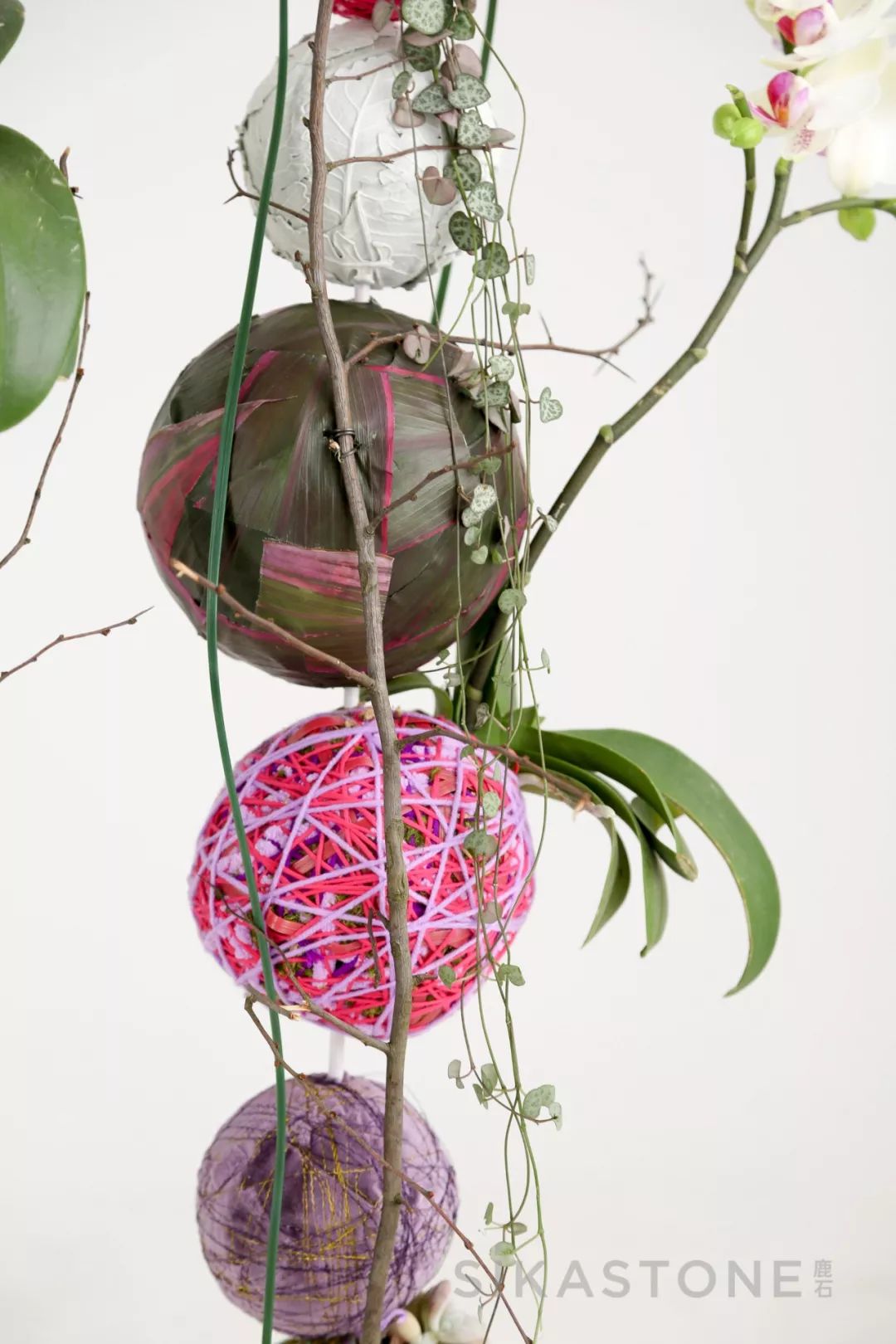 6天,教你用色彩“粉”碎所有不可能