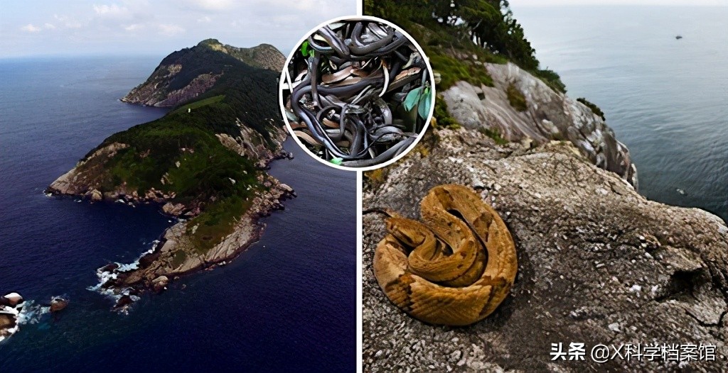 禁止人类参观的地方有哪些,世界禁忌之地排行榜