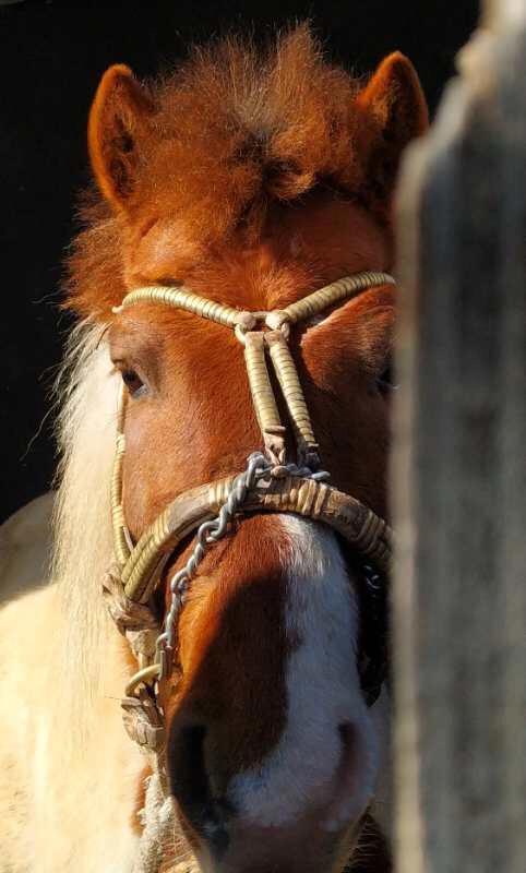 手拍世界手机摄影平台,手拍世界摄影平台
