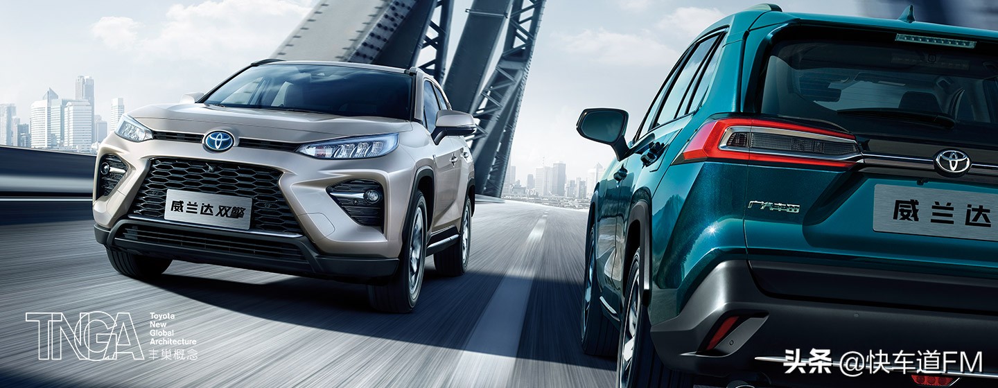 蒸骨三验，威兰达上市“香不香”