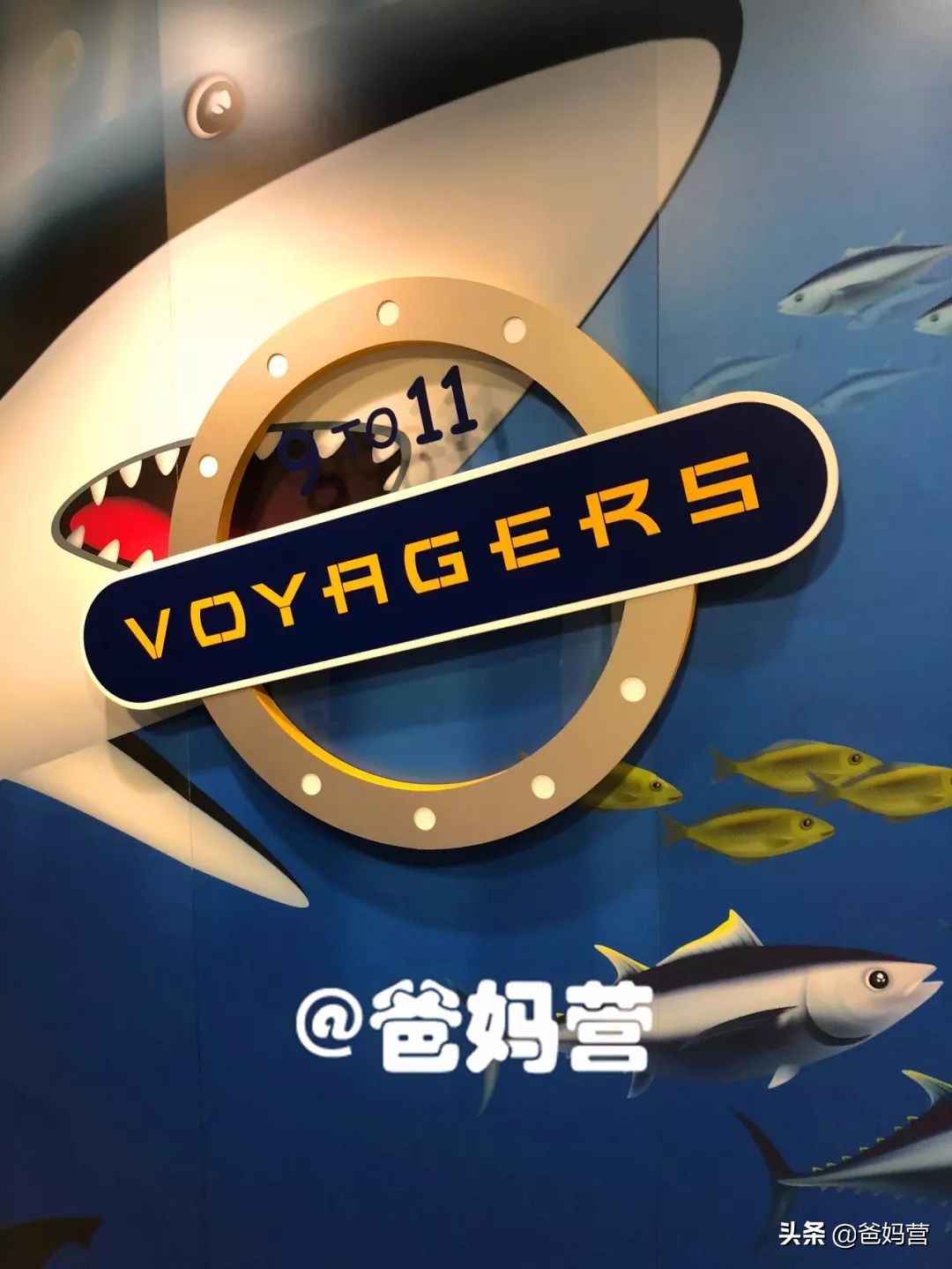 世界顶级豪华游轮来中国,世界顶级豪华游轮来过中国吗