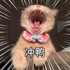 狂欢双十一全场8.8折,狂欢双12优惠活动火爆进行中