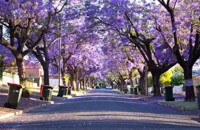 四川这座隐匿千年的古城,四川这座隐藏在喧闹中的千年古镇