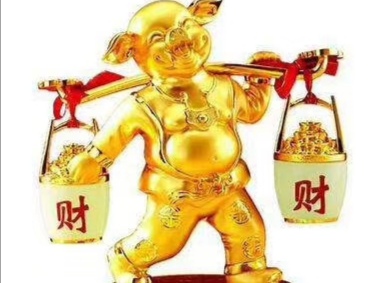 投资70万:已外购保育猪一个月的老陈,今年收益还能靠谱吗?
