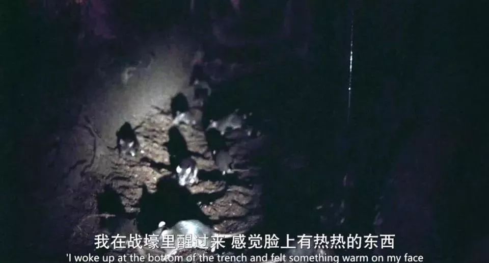 指环王导演剪辑,指环王导演真实视频