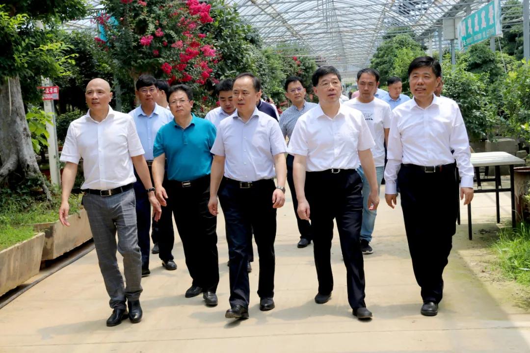 宿迁市沭阳县沭阳国际花木城,沭阳国际花木城布局