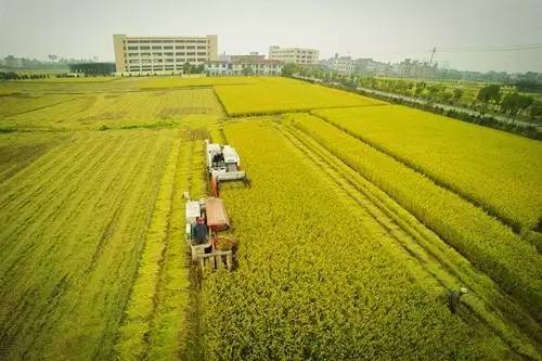 国家农业综合开发项目,国家现代农业产业园有何扶持政策