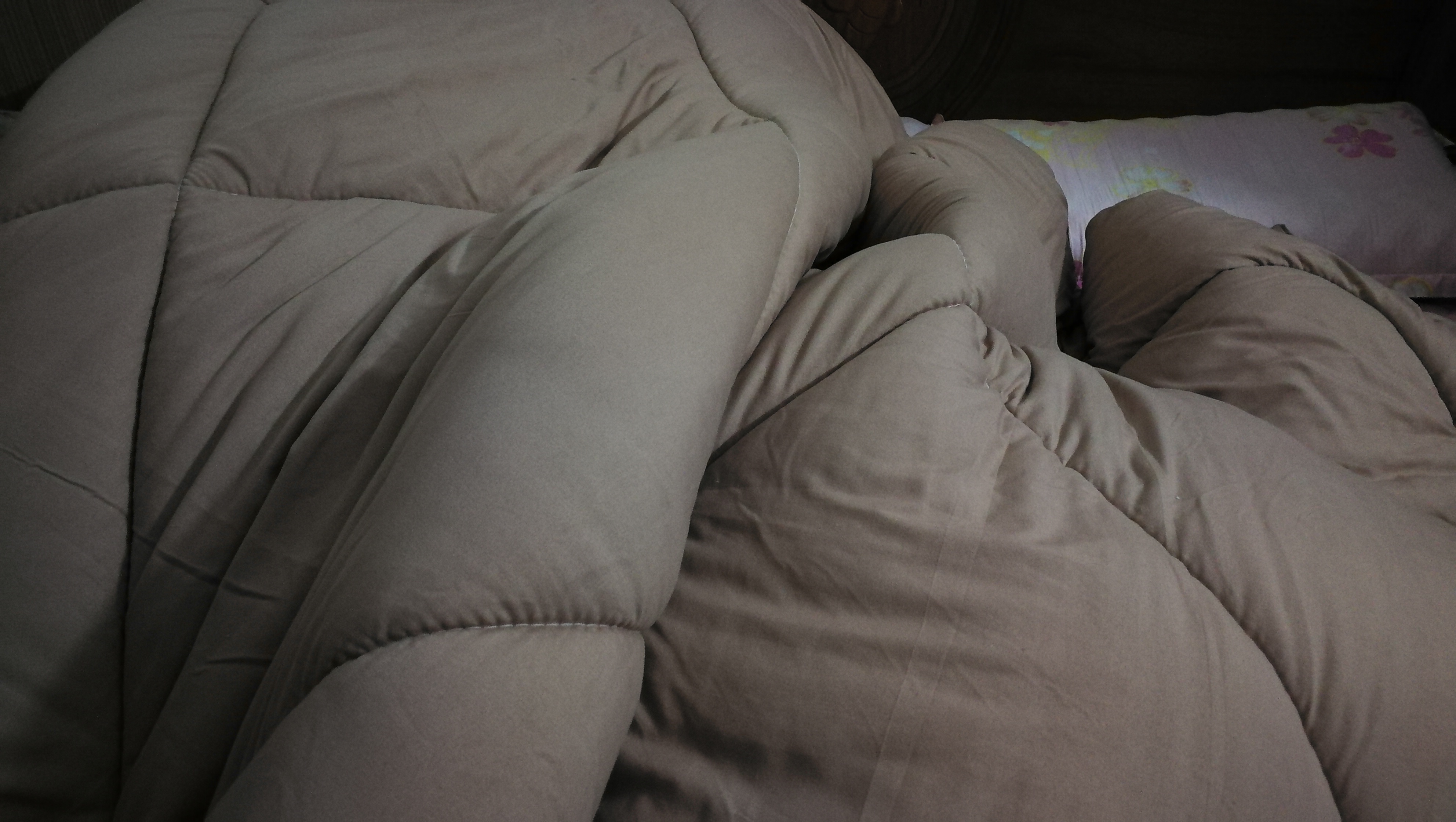 今冬只能自己装棉被了，鸡手鸭脚，还有更难看的吗？