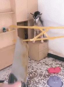 搞笑gif铁砂掌,铁砂掌传人一掌劈开十块砖头