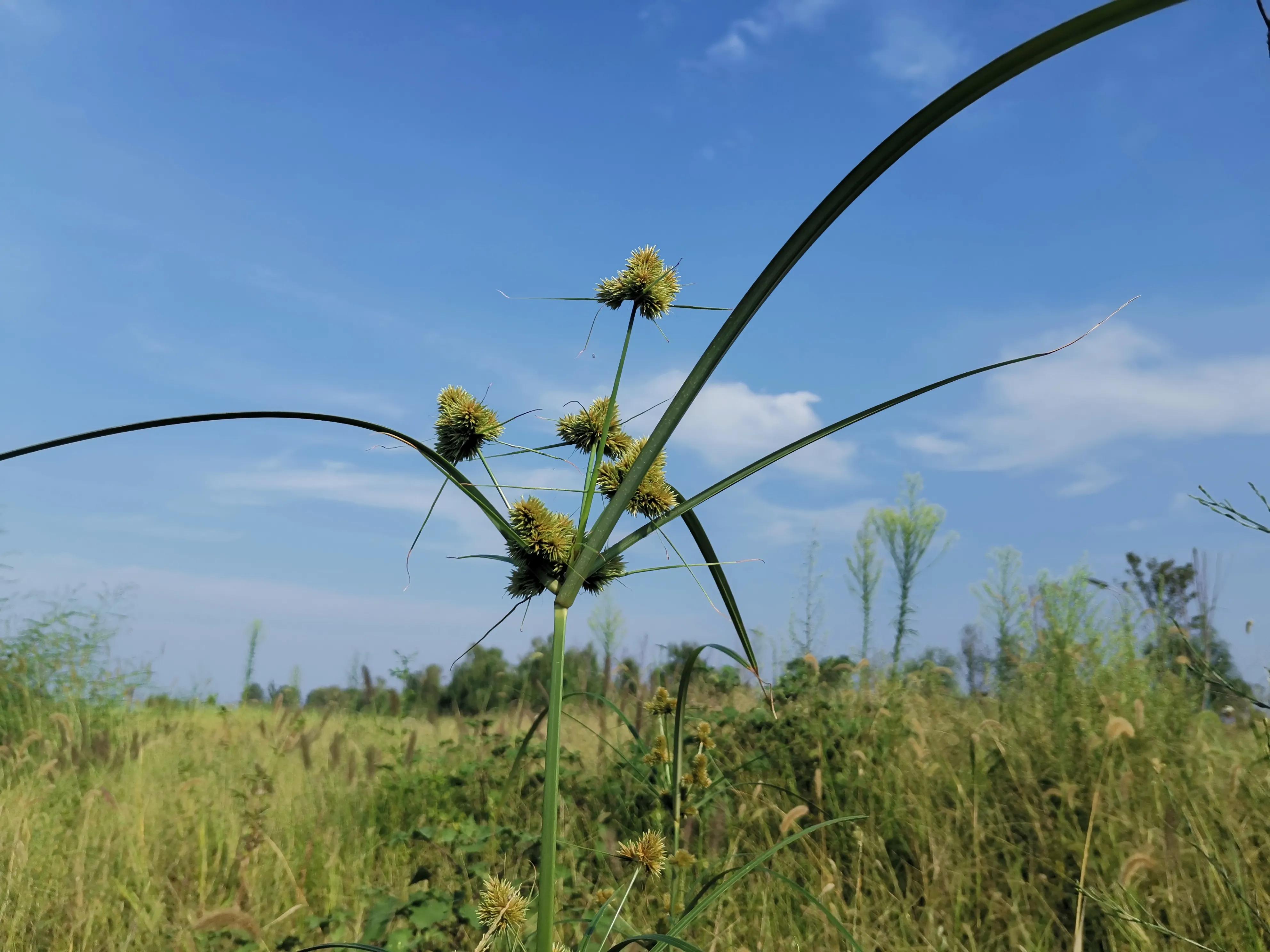 腿受伤躺久了腰疼如何缓解,腿伤卧床