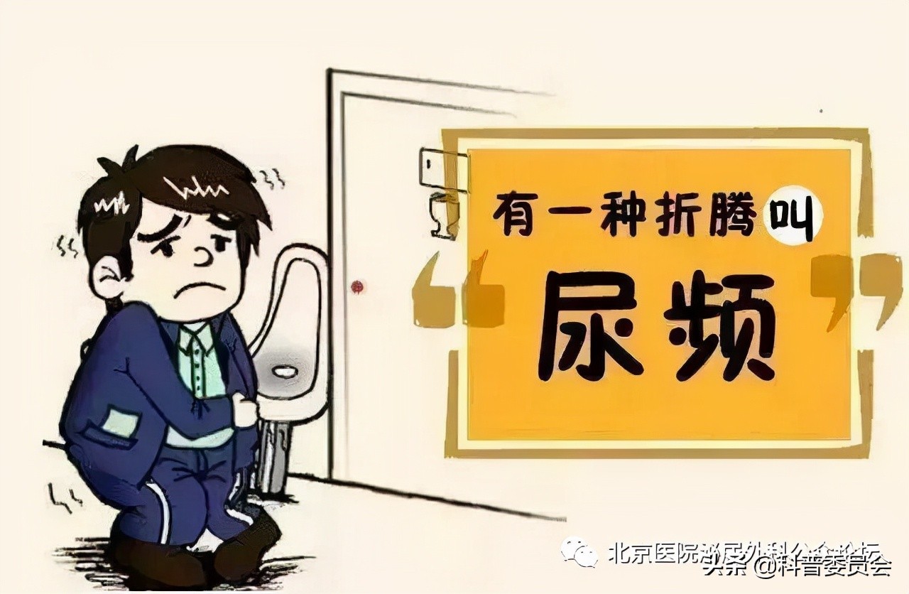 怎样才算尿频现象,怎么才能判定是尿频