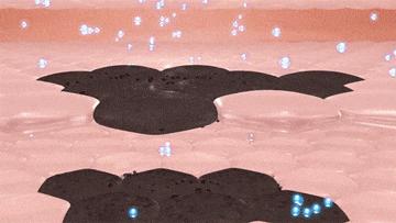 美白祛黄提亮肤色泡水喝,每天喝一杯可以美白淡斑清热解毒