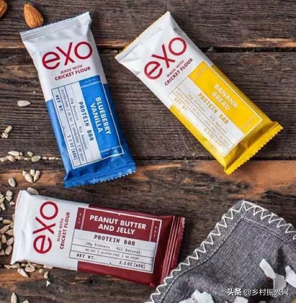 昆虫薯片,昆虫零食香辣