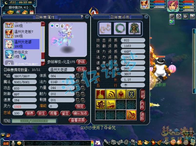 梦幻西游渔岛服战阵容,梦幻西游渔岛服战最强阵容