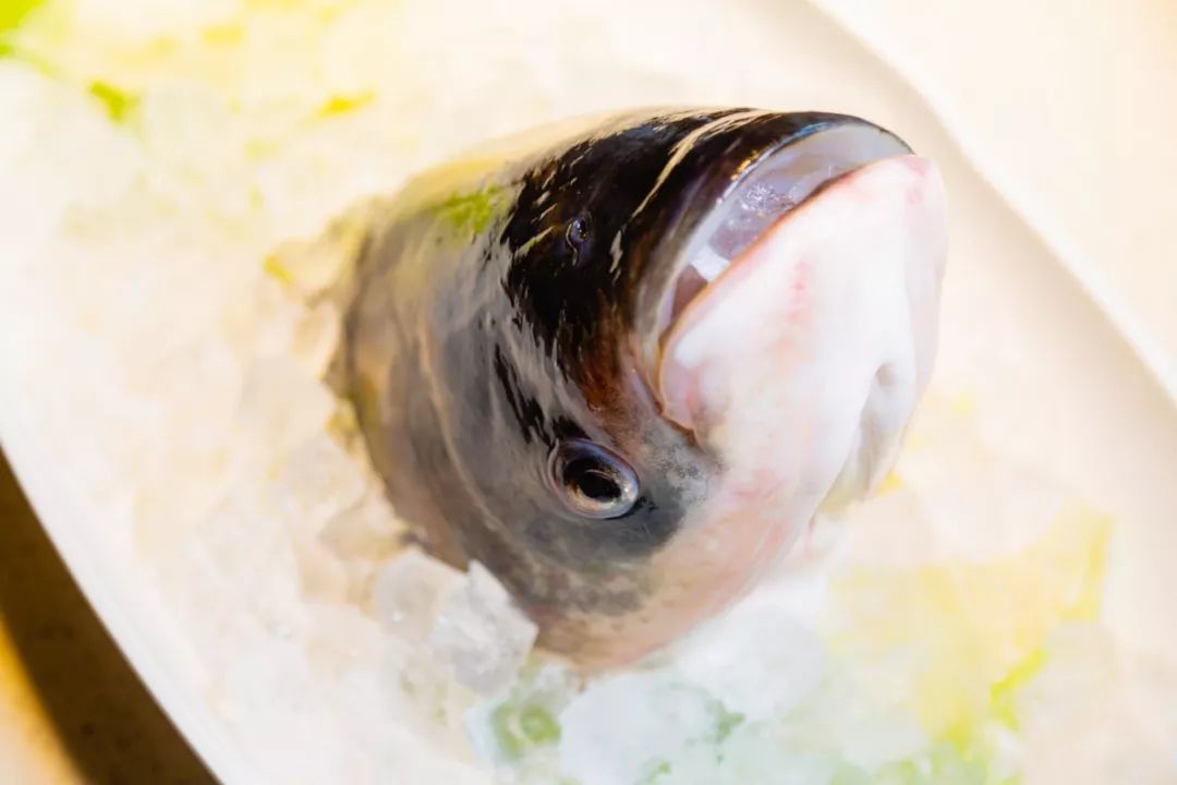 人气烤鱼店推荐39.9烤鱼双人餐,烤鱼钜惠