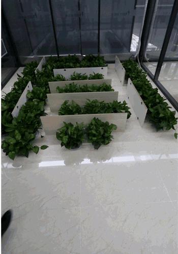 椰棕垫怎么测有没有甲醛,有毒的椰棕床垫