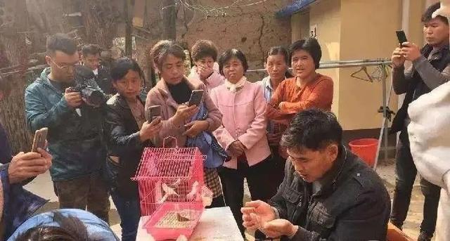 大衣哥朱之文辛酸史,大衣哥朱之文