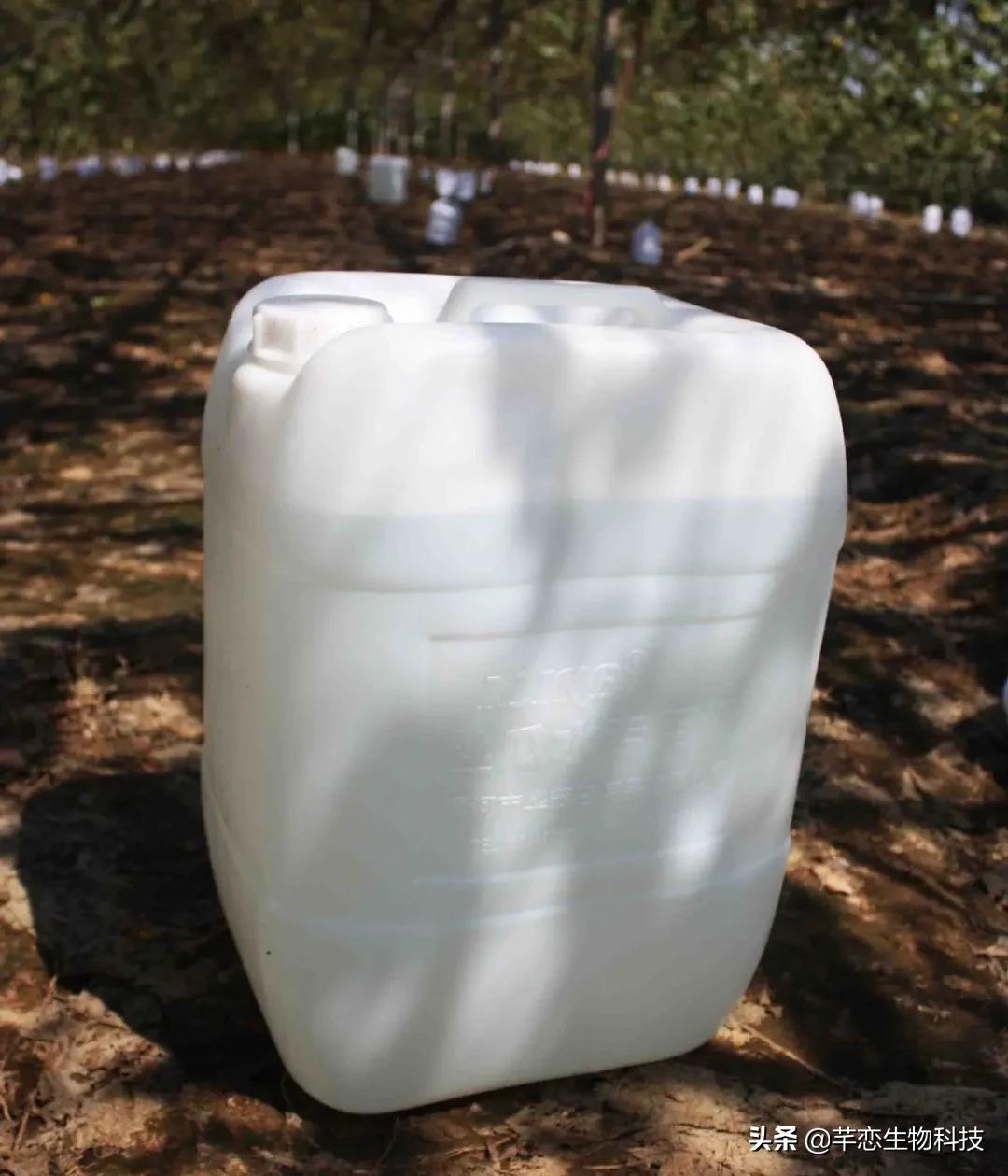 丝瓜水真有那么神奇吗,纯天然的丝瓜水有什么用处啊