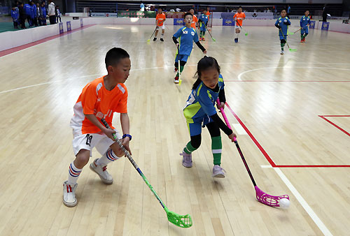 全国软式曲棍球锦标赛,青少年软式曲棍球锦标赛