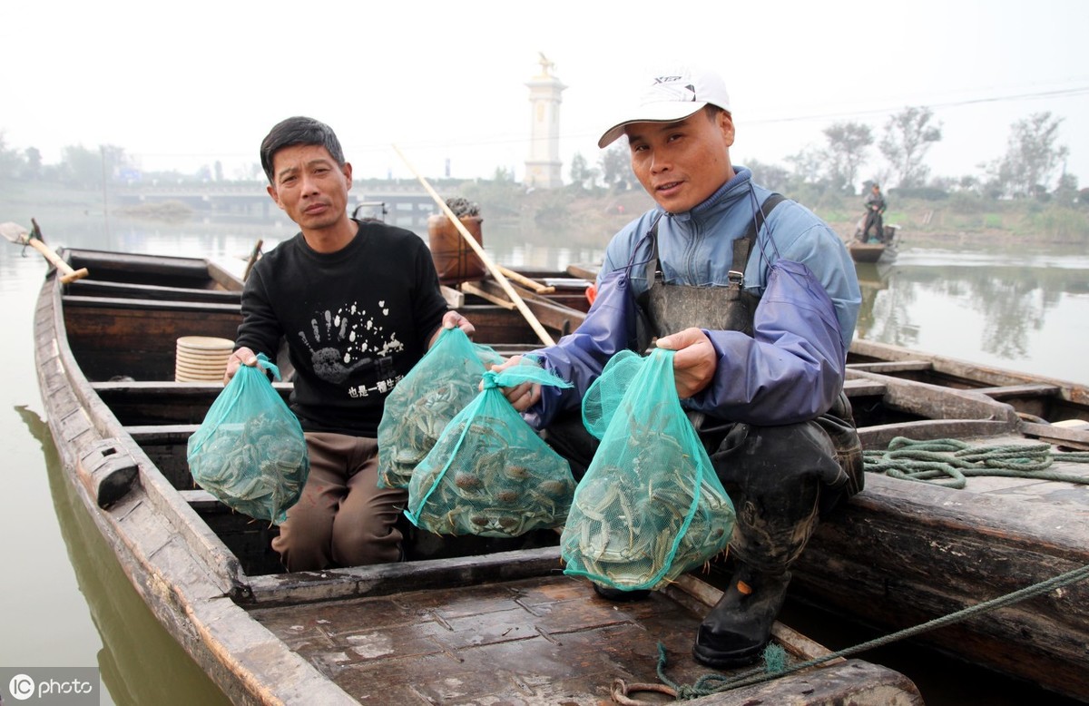 河蟹黑鳃用什么药,河蟹黑鳃病的原因及治疗方法