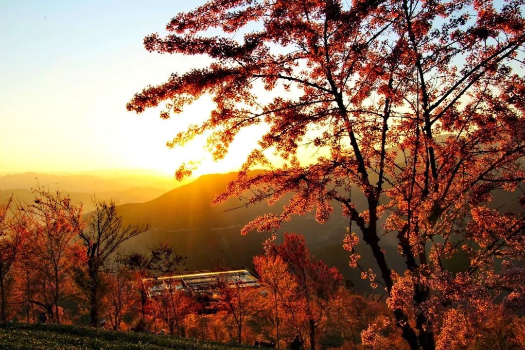 12月想要什么,12月的冬日暖阳岁月如此静好