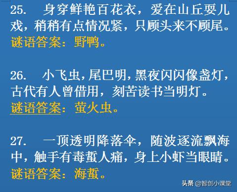 一次有趣的猜字谜游戏,20个猜字谜游戏