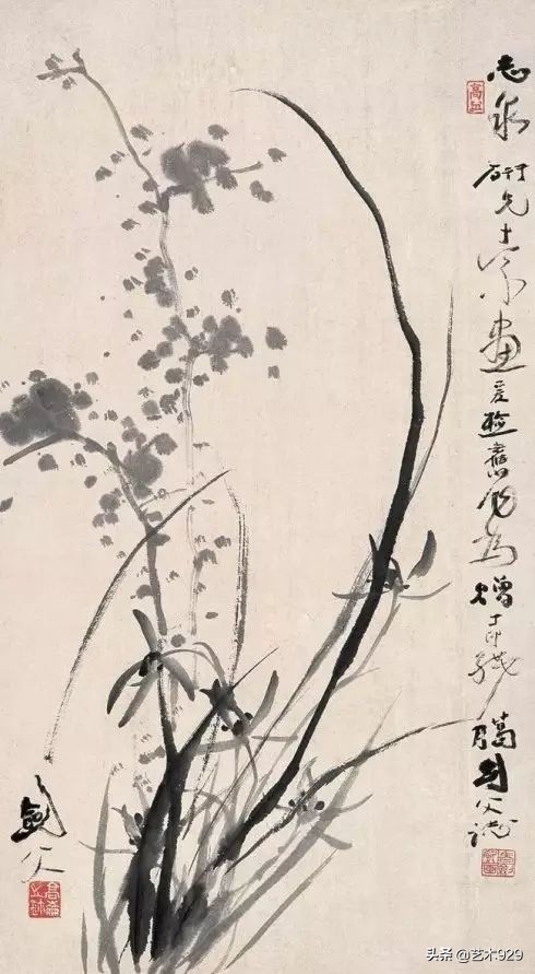 国画兰花的画法太棒了简单易学,泰国兰花绘画技法