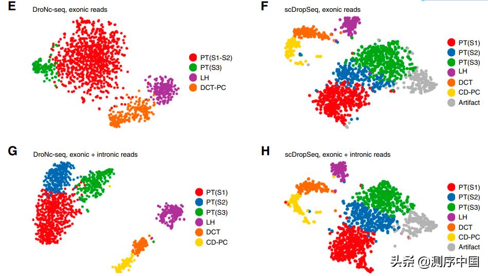 单细胞rna测序特点,纯干货分享阅读