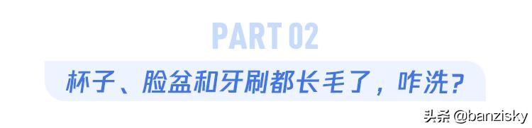 被子长出了木耳，老鼠满地跑，牙刷长了毛，这宿舍该咋收拾啊
