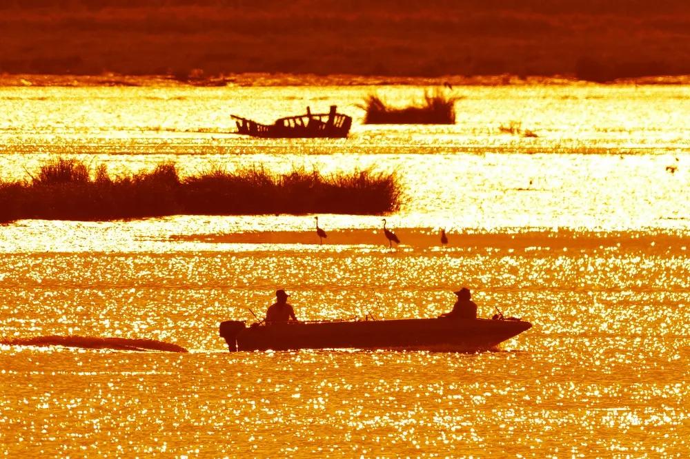 青岛国家海洋公园免费,海洋公园青岛最新