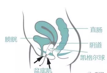 一文读懂孕激素三项,一文读懂肌张力的方方面面