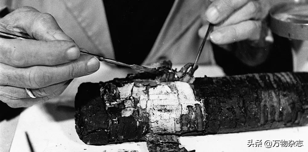 百万美金买的千年古籍实际才刚成年？现代打假技术太给力了