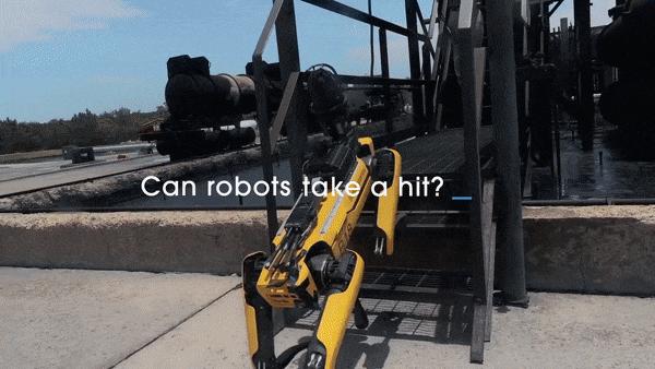 50万一只的波士顿机器狗,中国购买的波士顿机器狗